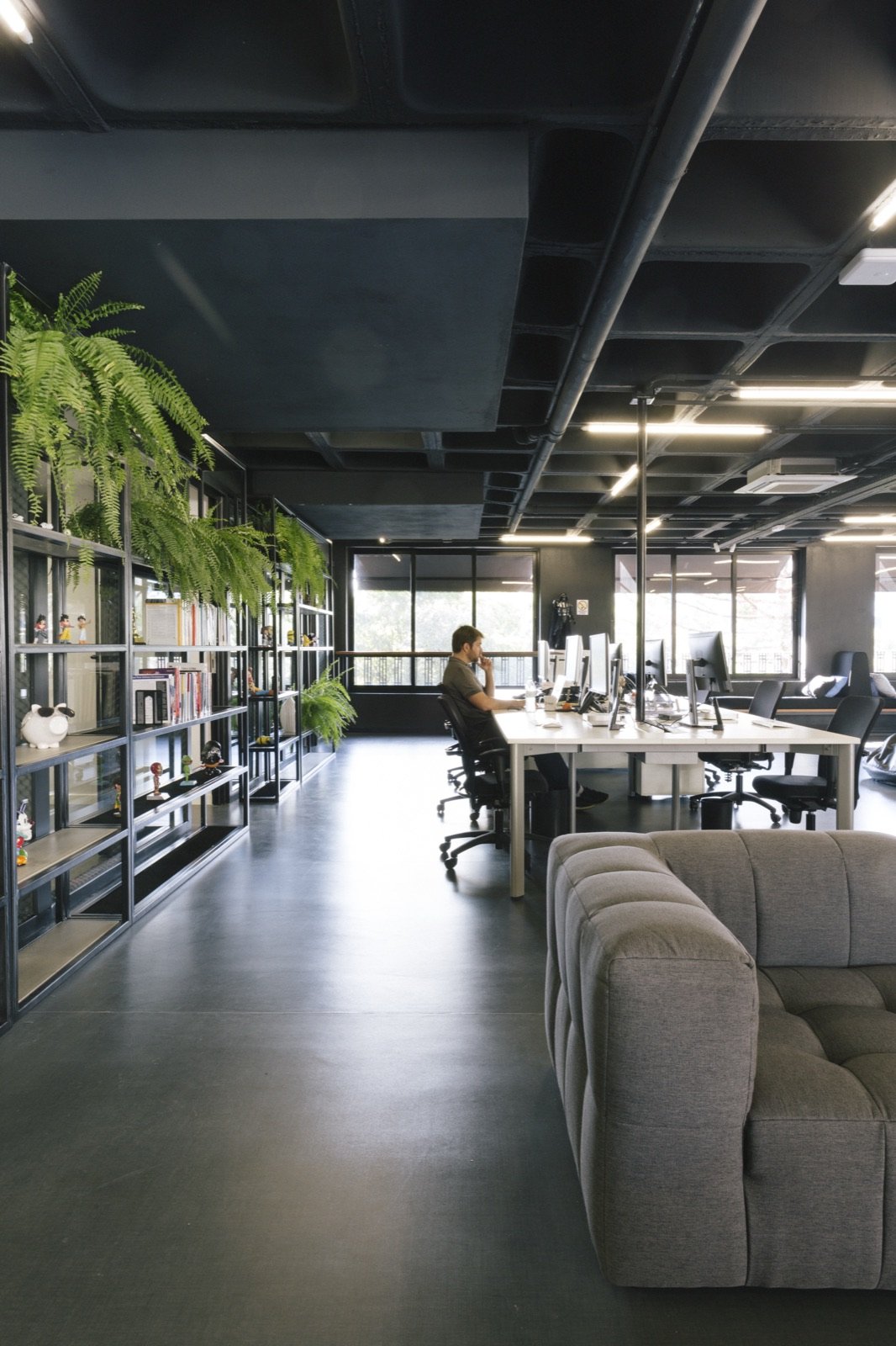 An open-plan office with a fern-lined shelf and a person working at a shared desk